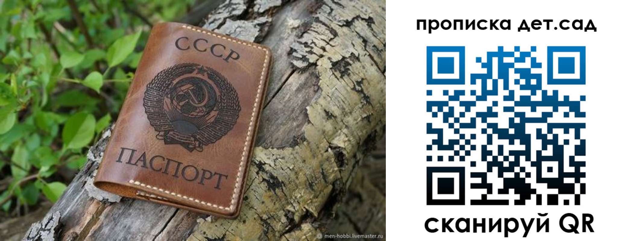 прописка иностранных граждан в Александровске